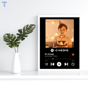 Black Spotify frame with a green plant